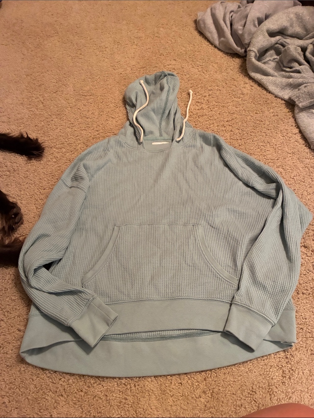 aerie Pale Teal Waffle-Knit Hooded Sweater (size XS)